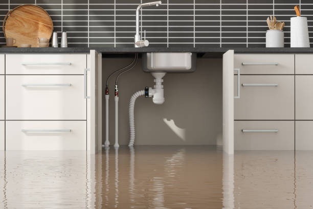 Best Sewage cleanup and water damage restoration  in Haymarket, VA