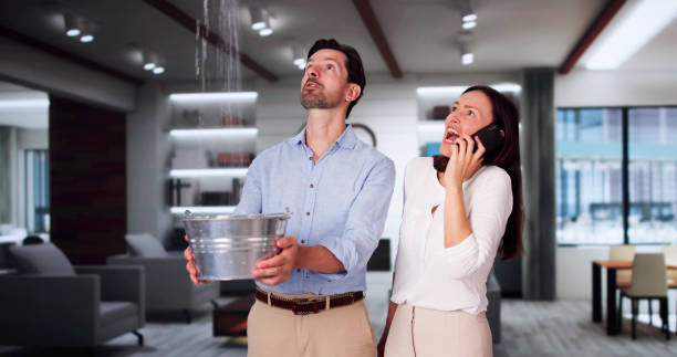 Best Carpet water damage restoration  in Haymarket, VA